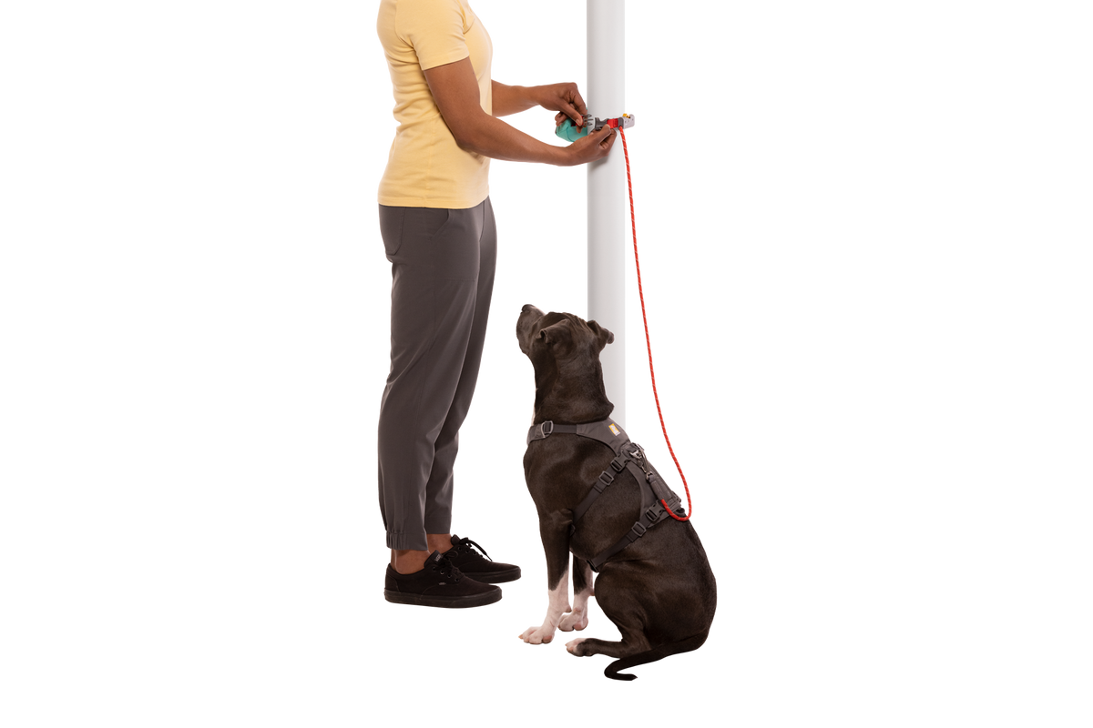 Hitch Hiker™ Leash product image