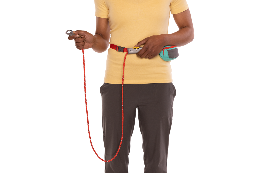 Hitch Hiker™ Leash product image