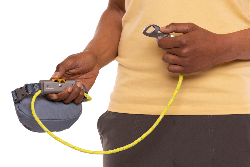 Hitch Hiker™ Leash product image