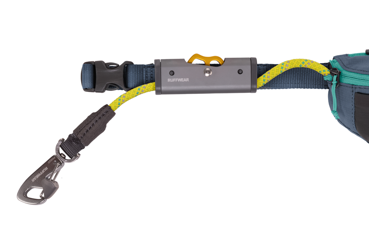 Hitch Hiker™ Leash product image