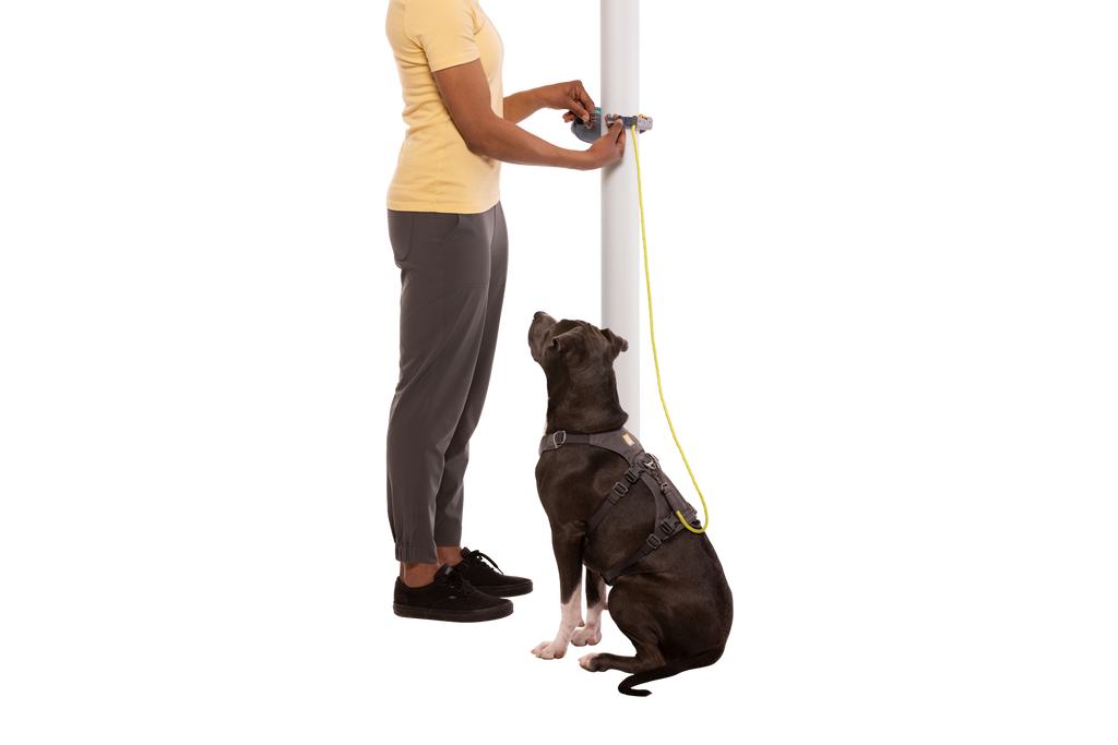 Hitch Hiker™ Leash product image