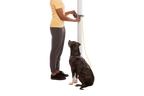 Hitch Hiker™ Leash product image