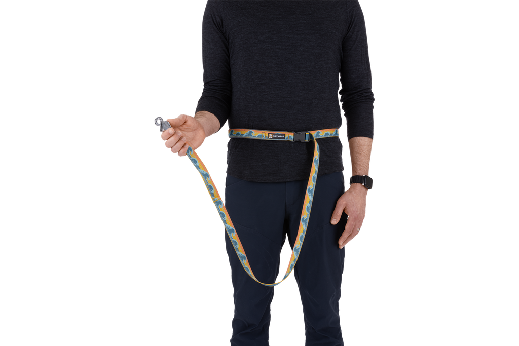 Crag™ Hands-Free Leash product image