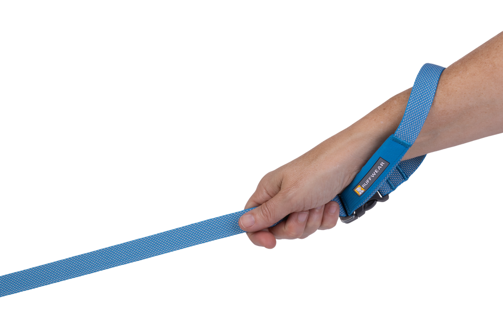 Flagline™ Dog Lead product image