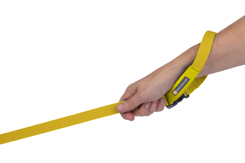 Flagline™ Dog Lead product image