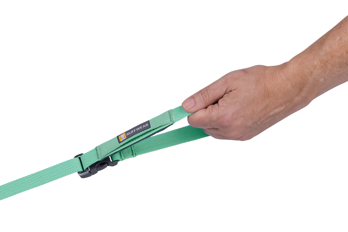 Flagline™ Dog Lead product image