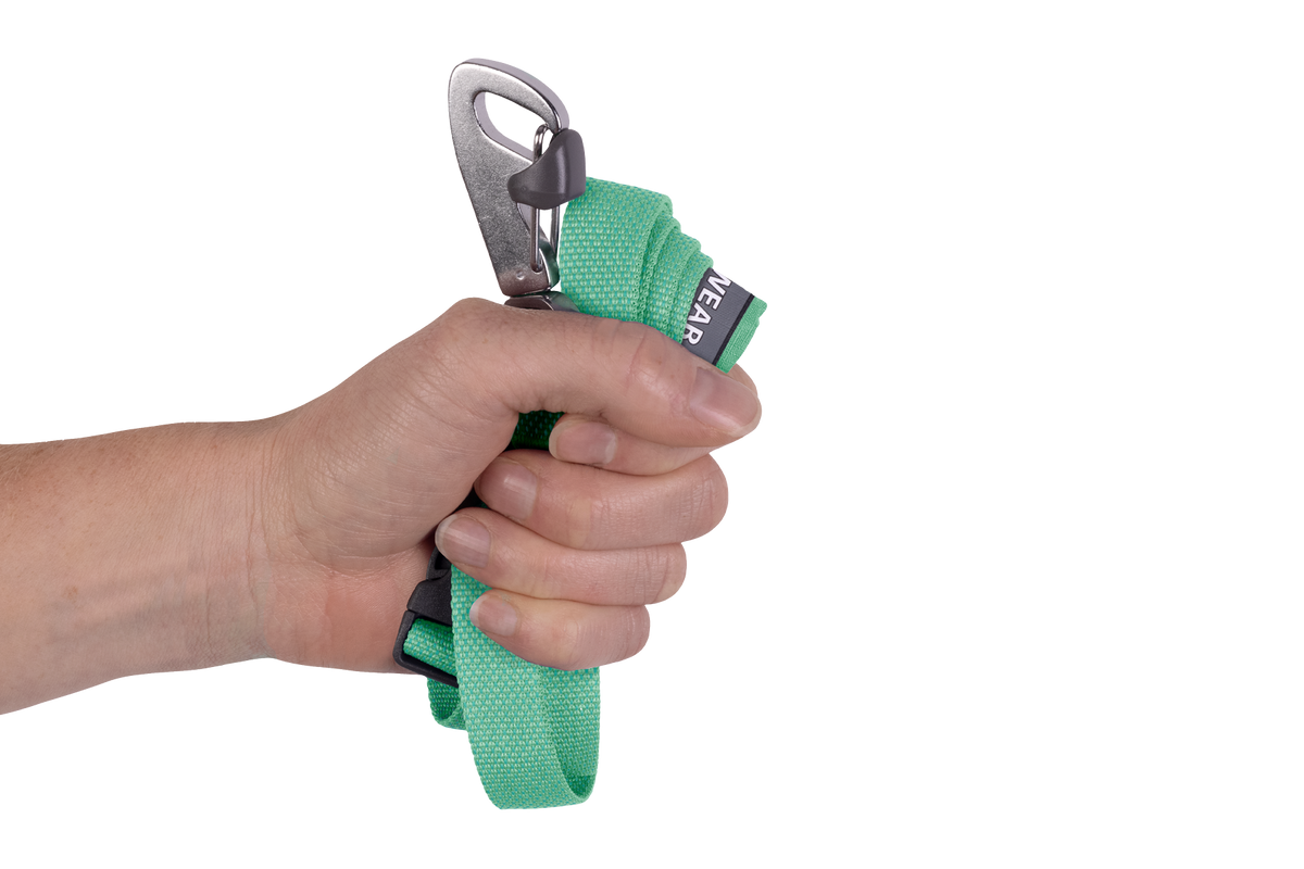 Flagline™ Dog Lead product image