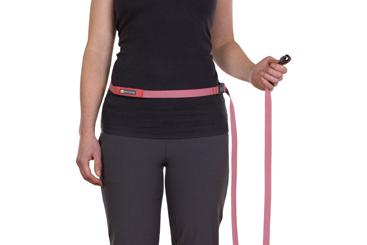 Flagline™ Dog Lead product image