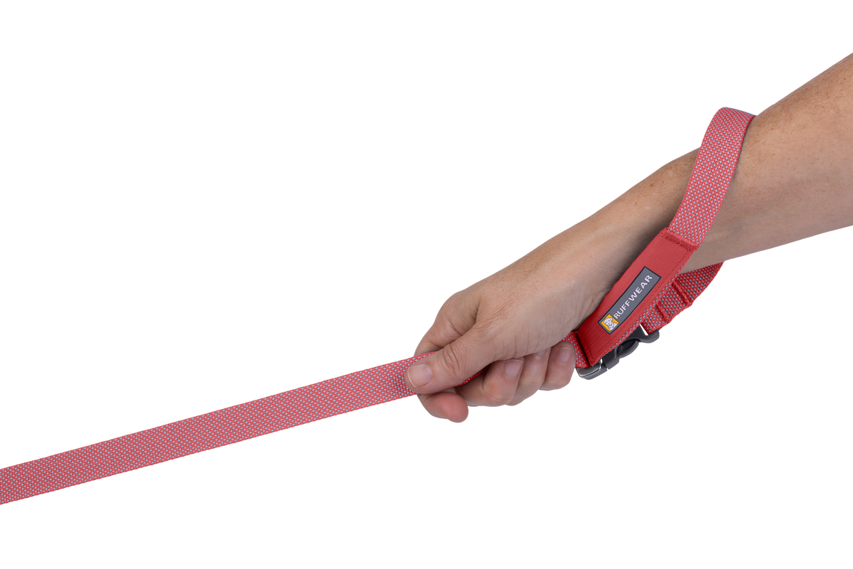 Flagline™ Dog Lead product image