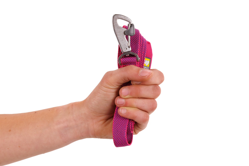 Flagline™ Dog Lead product image