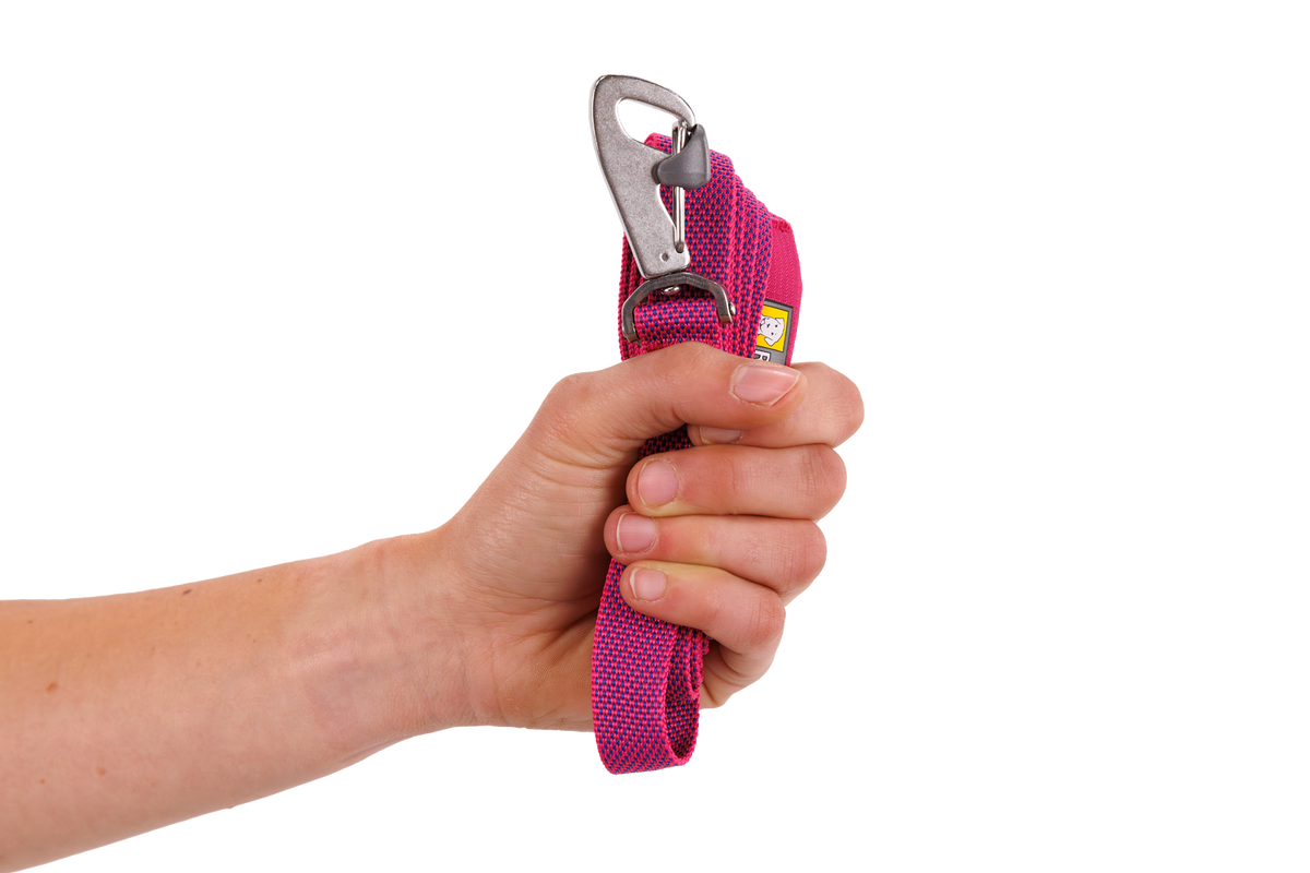 Flagline™ Dog Lead product image