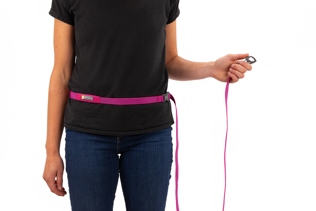 Flagline™ Dog Lead product image