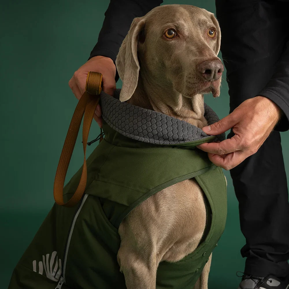 Walk All-Season Jacket product image