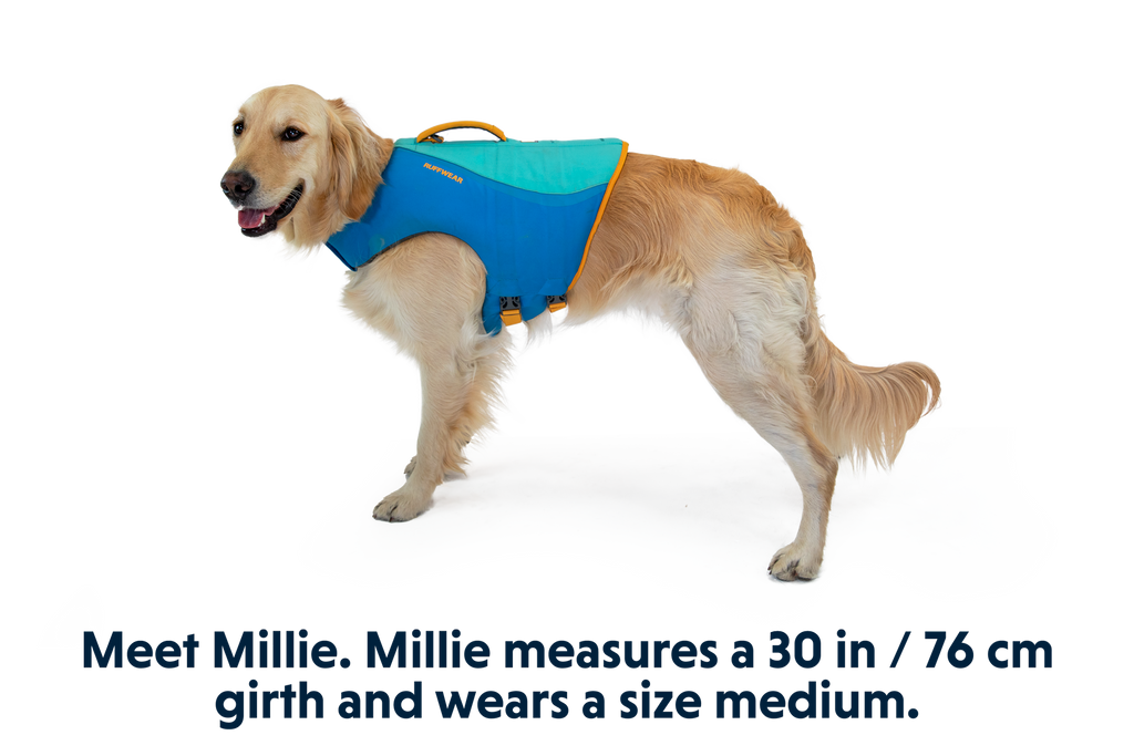 Float Coat™ Dog Life Jacket product image