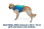 Float Coat™ Dog Life Jacket product image