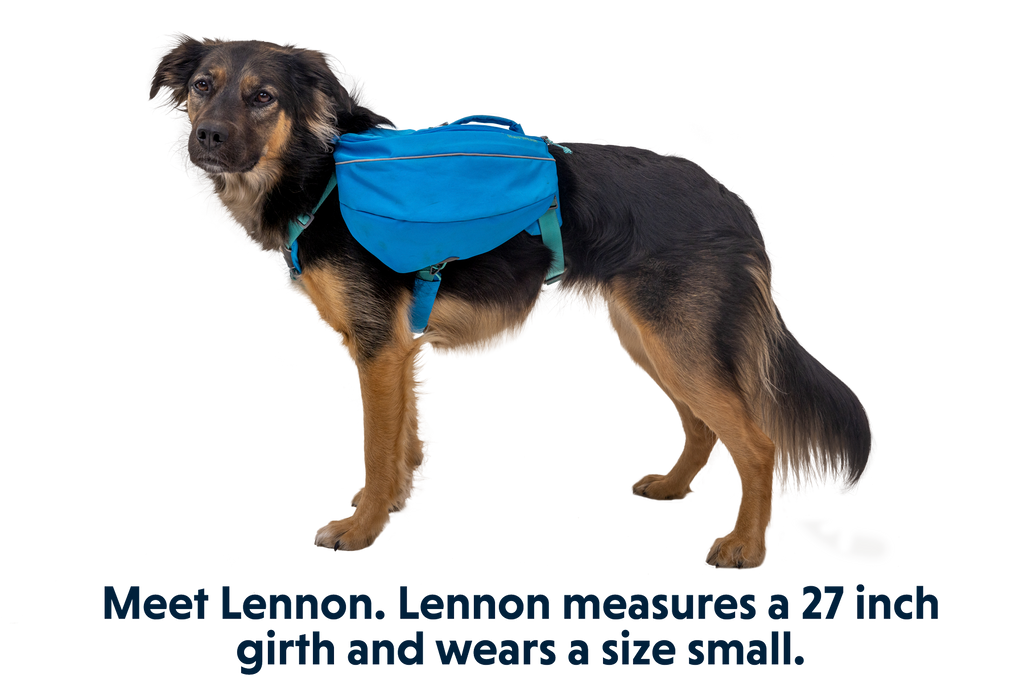 Approach™ Dog Backpack product image