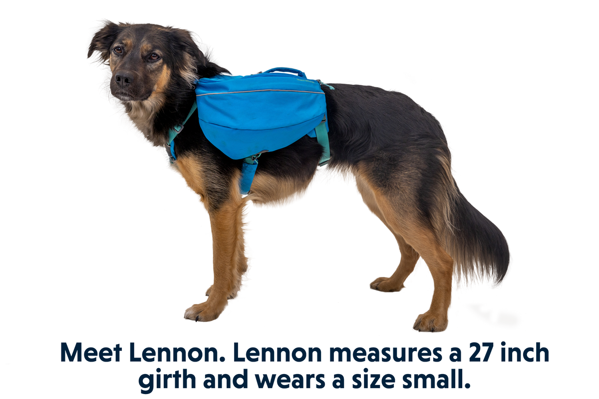 Approach™ Dog Backpack product image