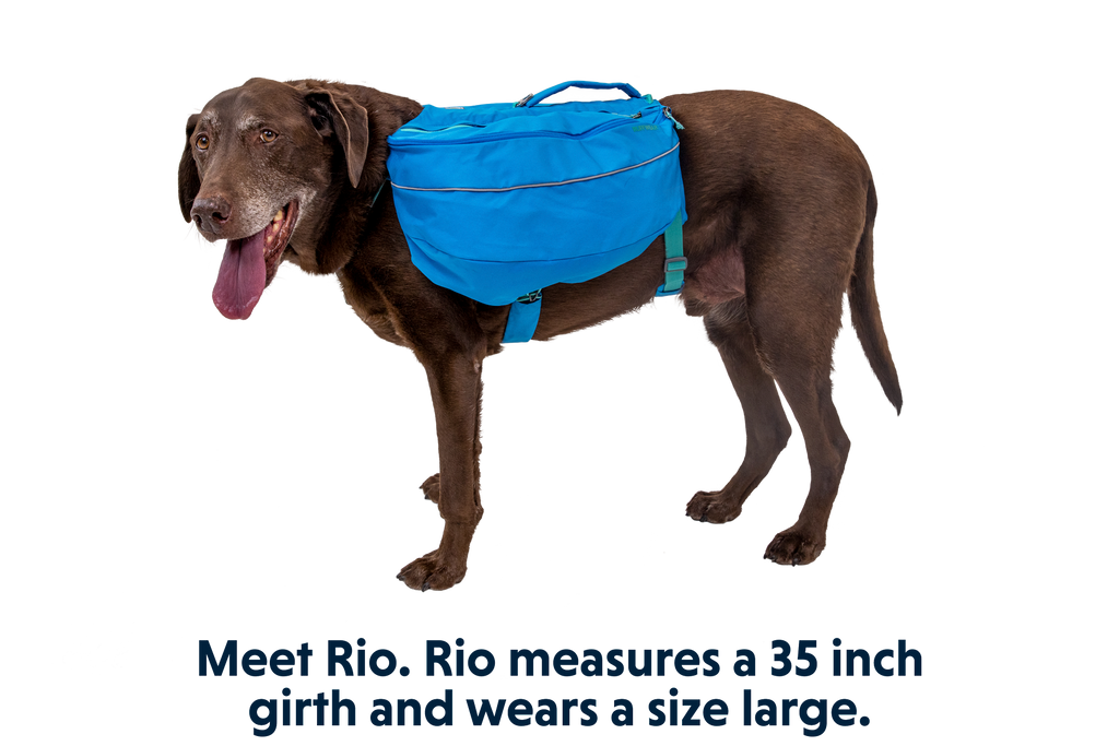 Approach™ Dog Backpack product image
