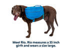 Approach™ Dog Backpack product image