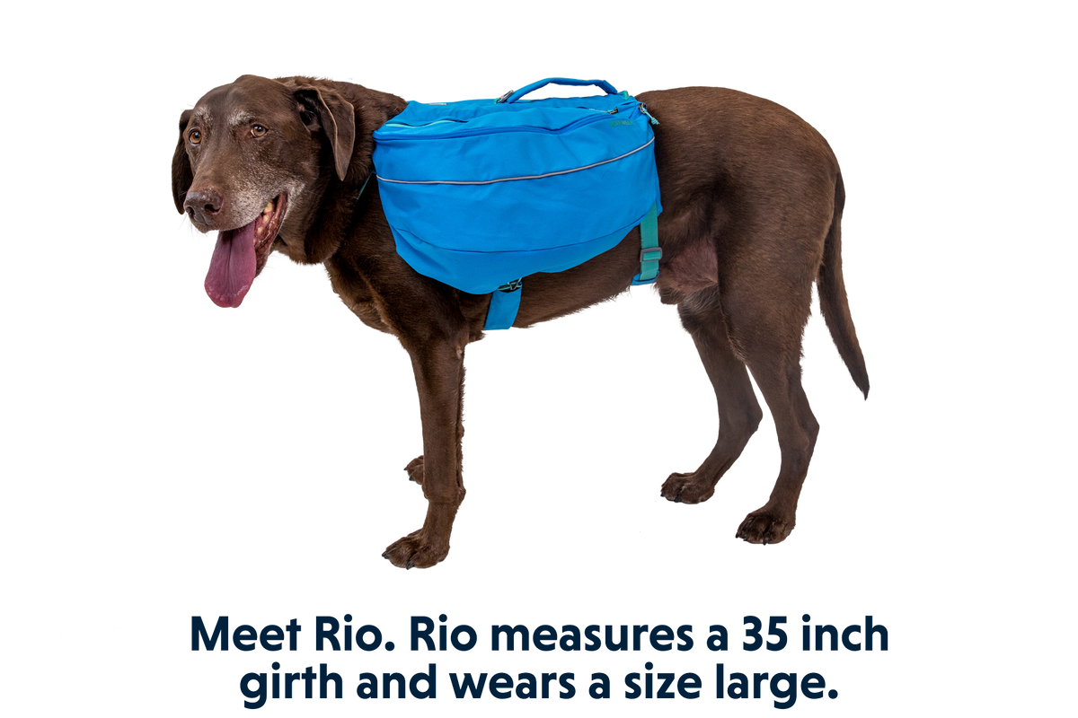 Approach™ Dog Backpack product image