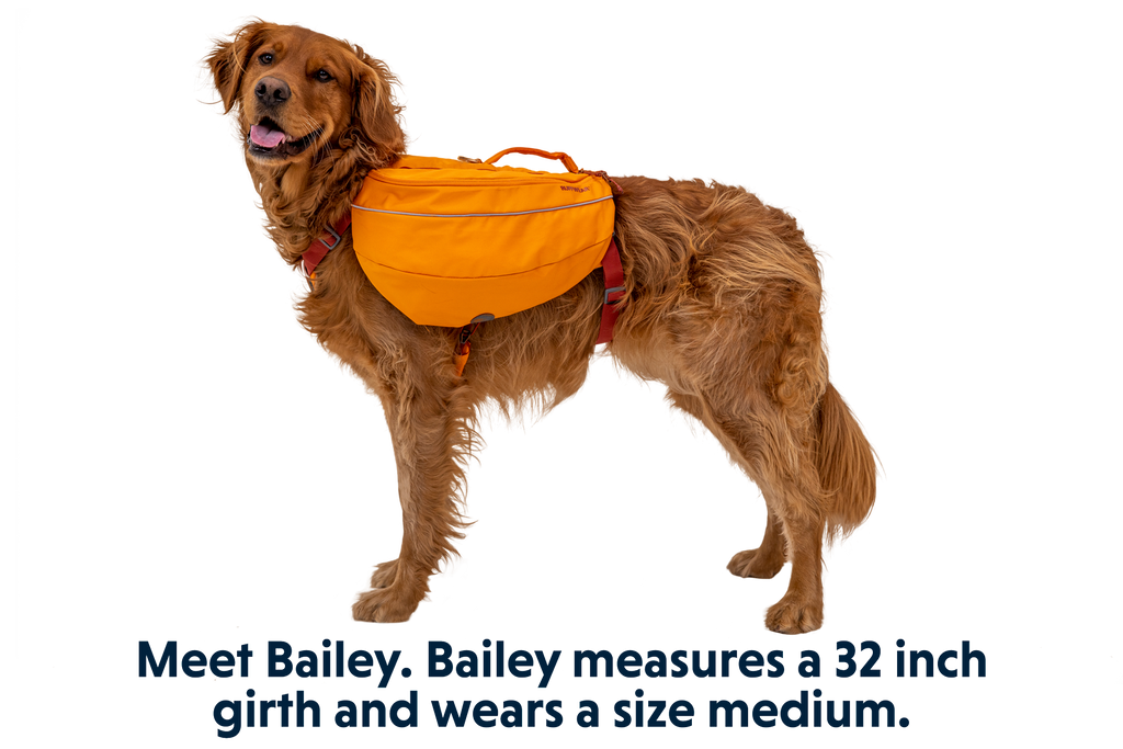 Approach™ Dog Backpack product image