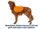 Approach™ Dog Backpack product image