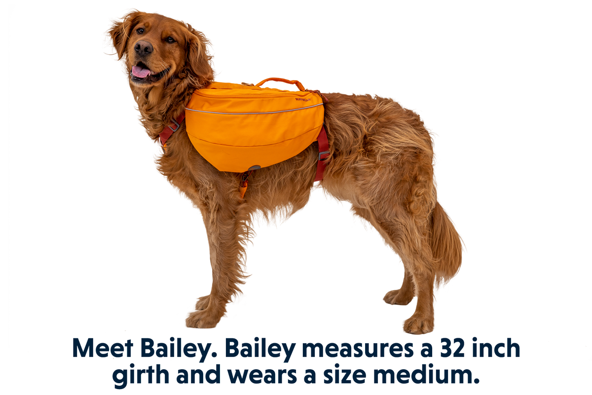Approach™ Dog Backpack product image