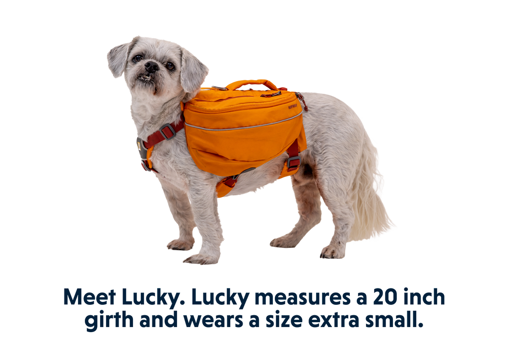 Approach™ Dog Backpack product image