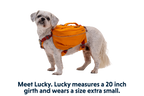 Approach™ Dog Backpack product image