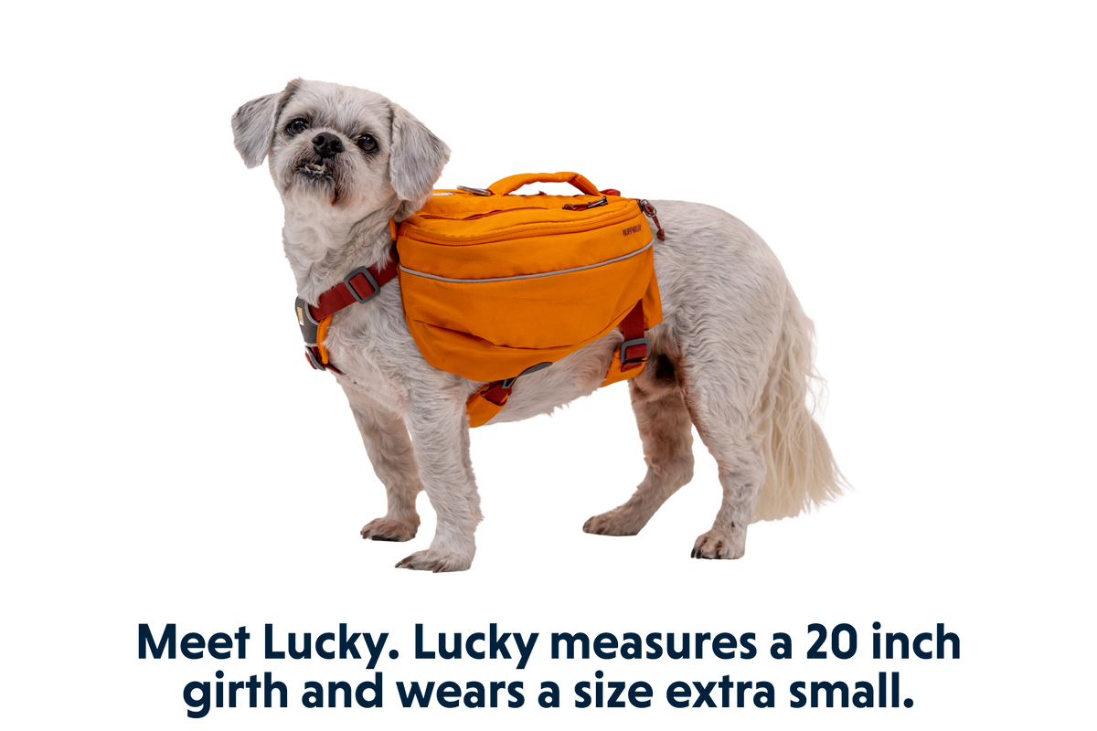Approach™ Dog Backpack product image