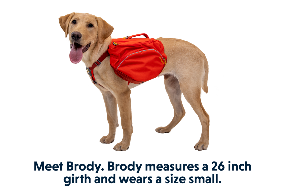 Palisades™ Backpack product image