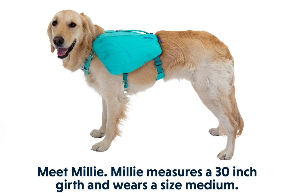 Front Range® Day Pack product image
