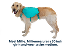 Front Range® Day Pack product image