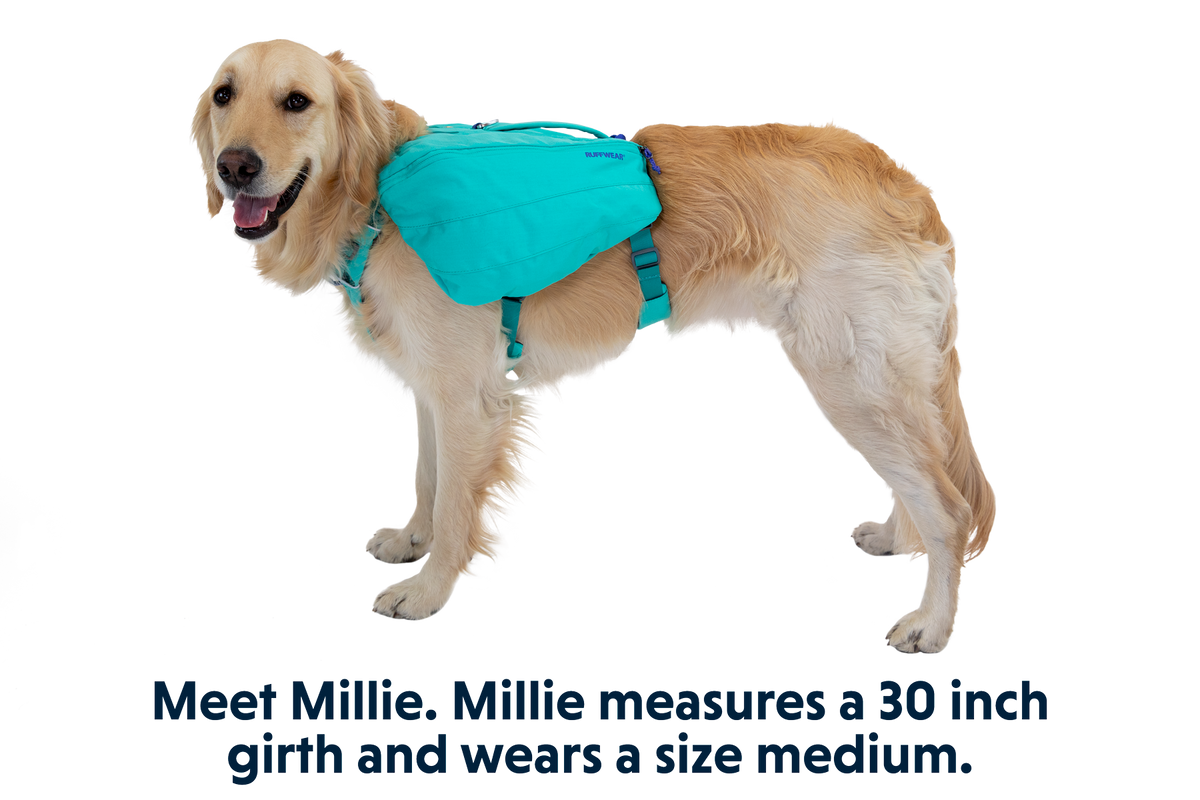 Front Range® Day Pack product image