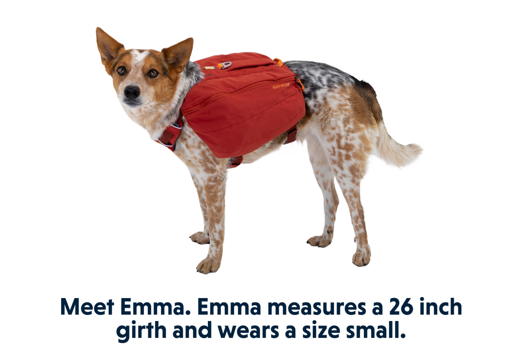 Front Range® Day Pack product image