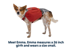 Front Range® Day Pack product image