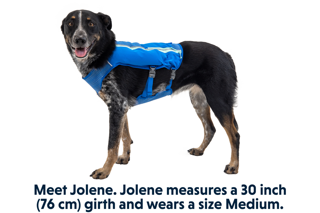 Trail Runner™ Dog Running Vest product image