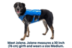 Trail Runner™ Dog Running Vest product image