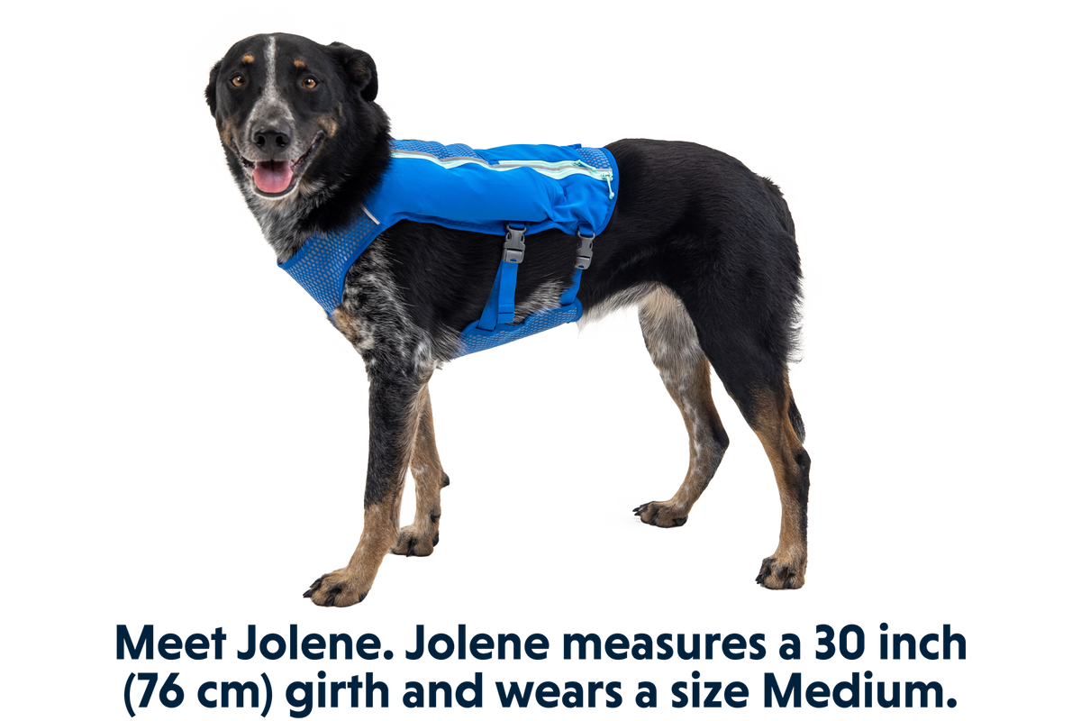 Trail Runner™ Dog Running Vest product image