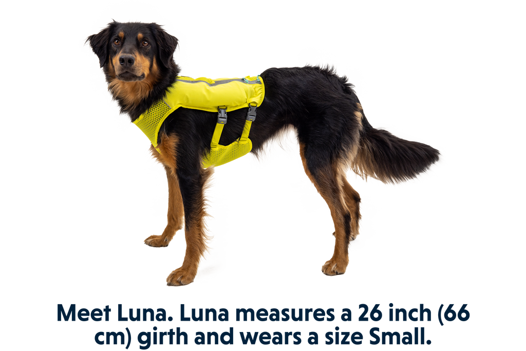 Trail Runner™ Dog Running Vest product image