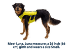 Trail Runner™ Dog Running Vest product image
