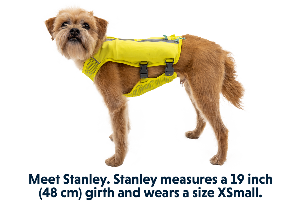 Trail Runner™ Dog Running Vest product image