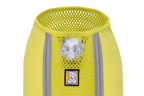 Trail Runner™ Dog Running Vest product image