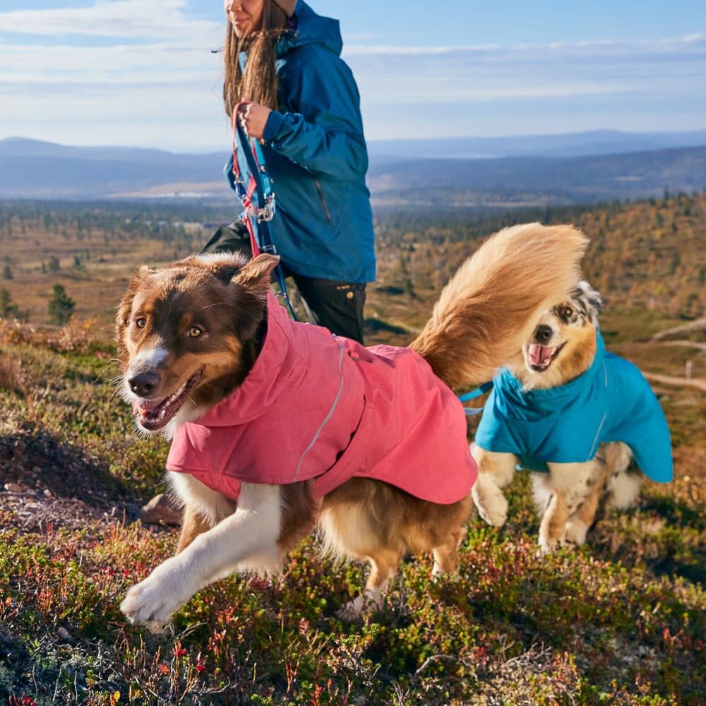 Expedition Parka II product image