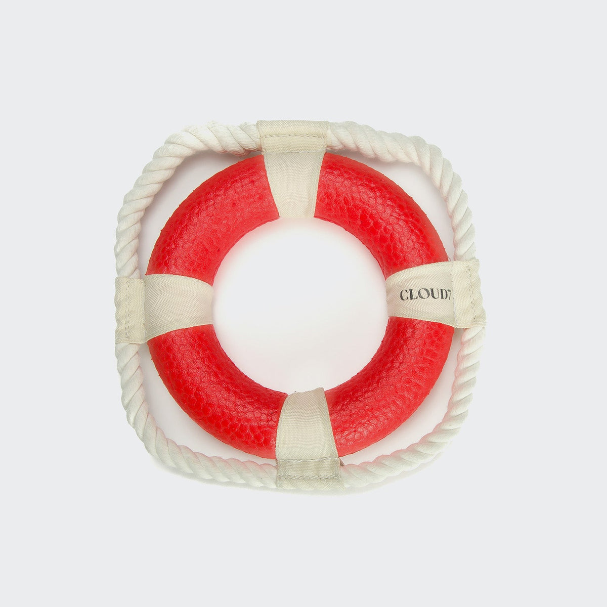 Fetch Toy Lifebuoy Floaty product image