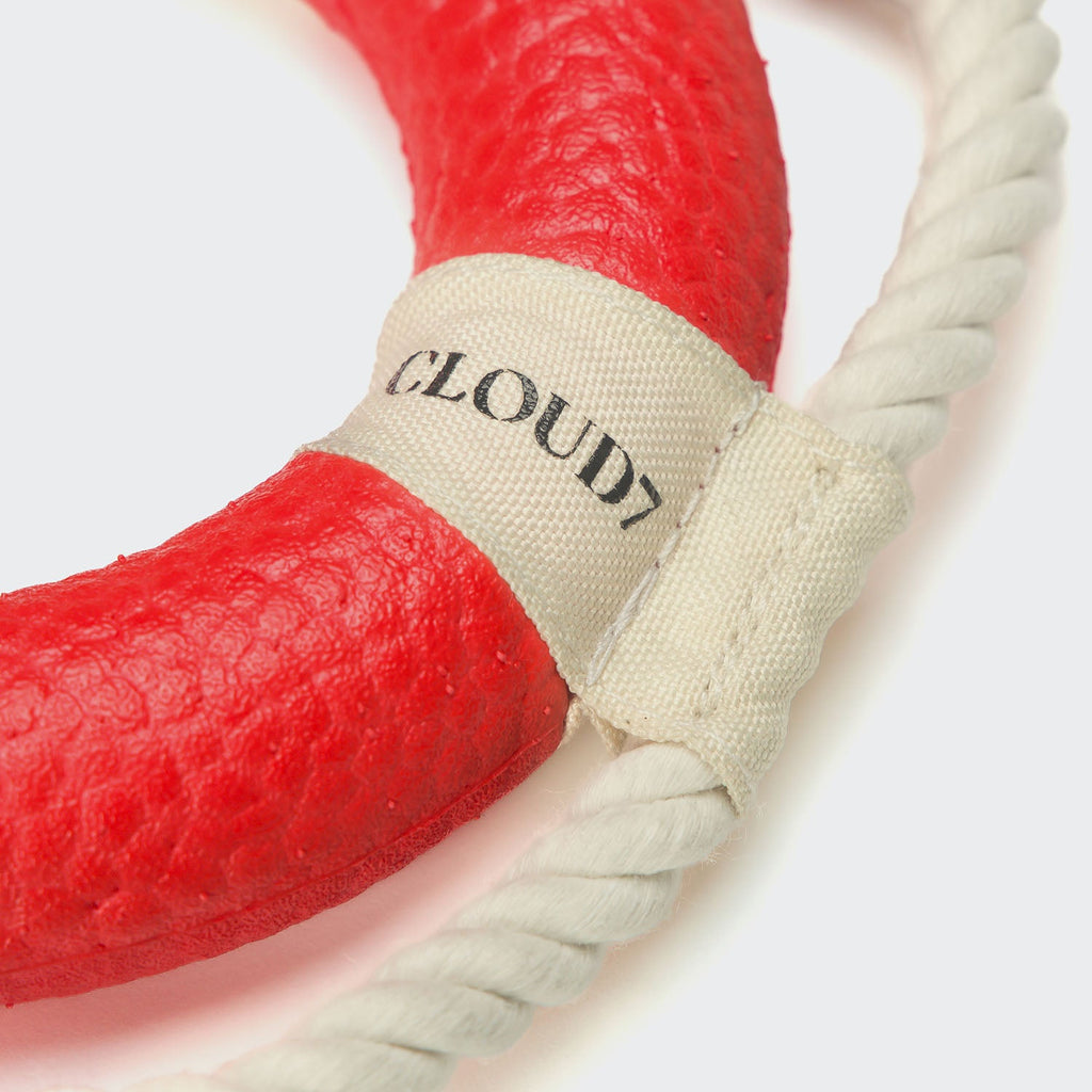 Fetch Toy Lifebuoy Floaty product image