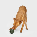 Activity Toy Zeno Dark Olive product image