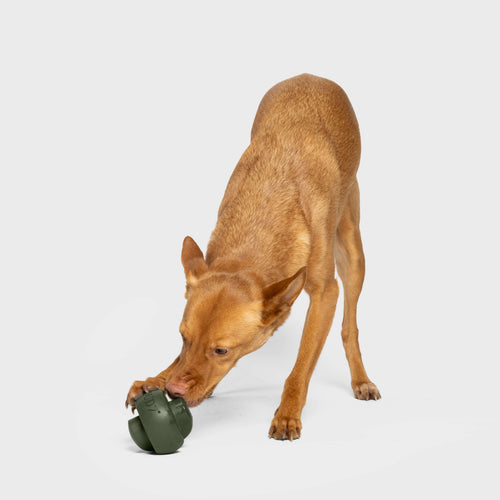 Activity Toy Zeno Dark Olive product image