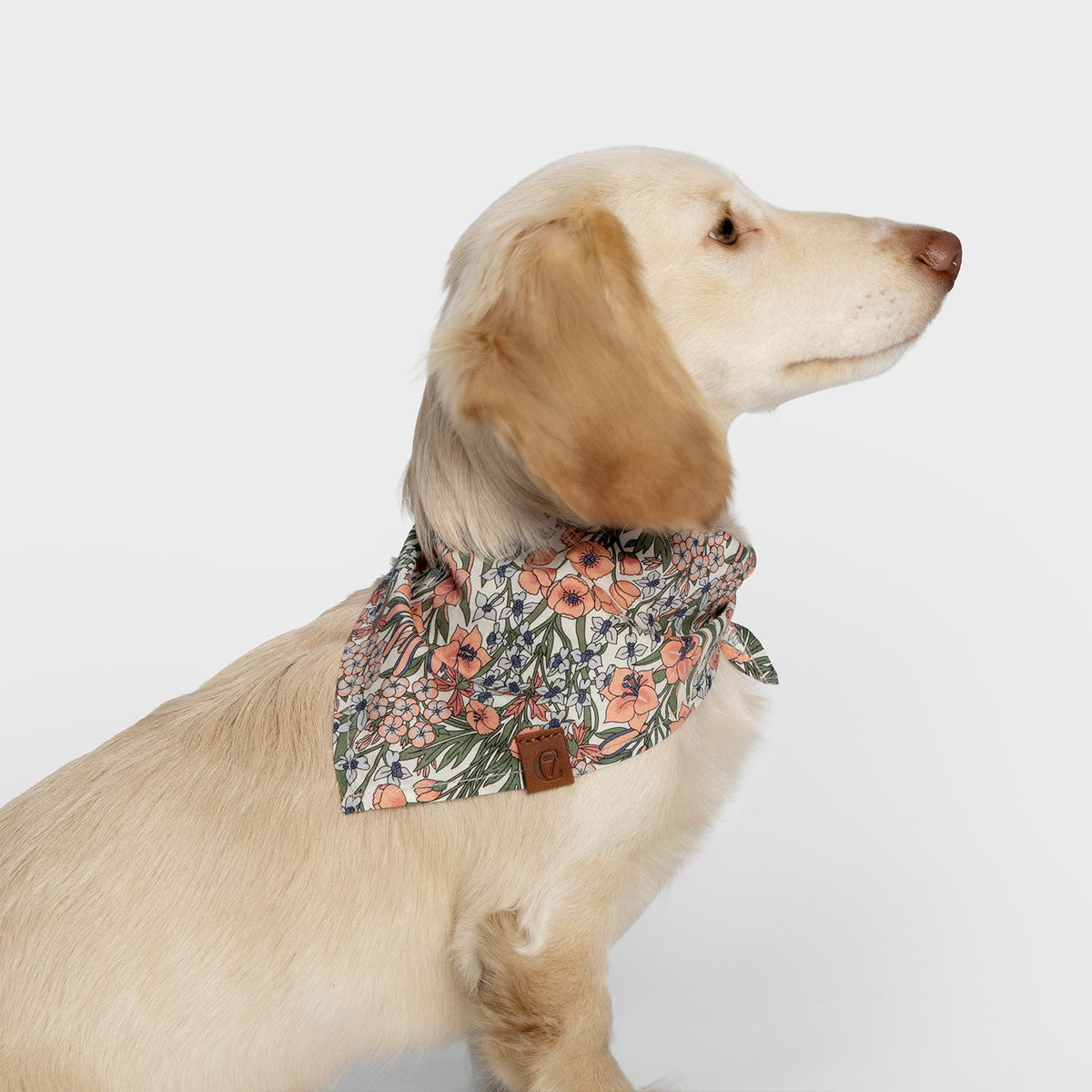 Dog Bandana LTTL Blossoms product image