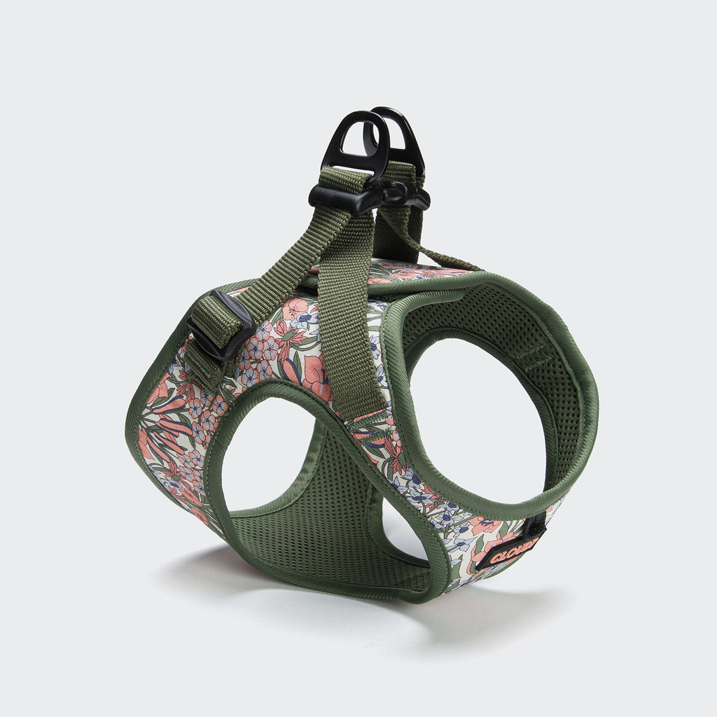 Step-in Harness LTTL Blossoms product image
